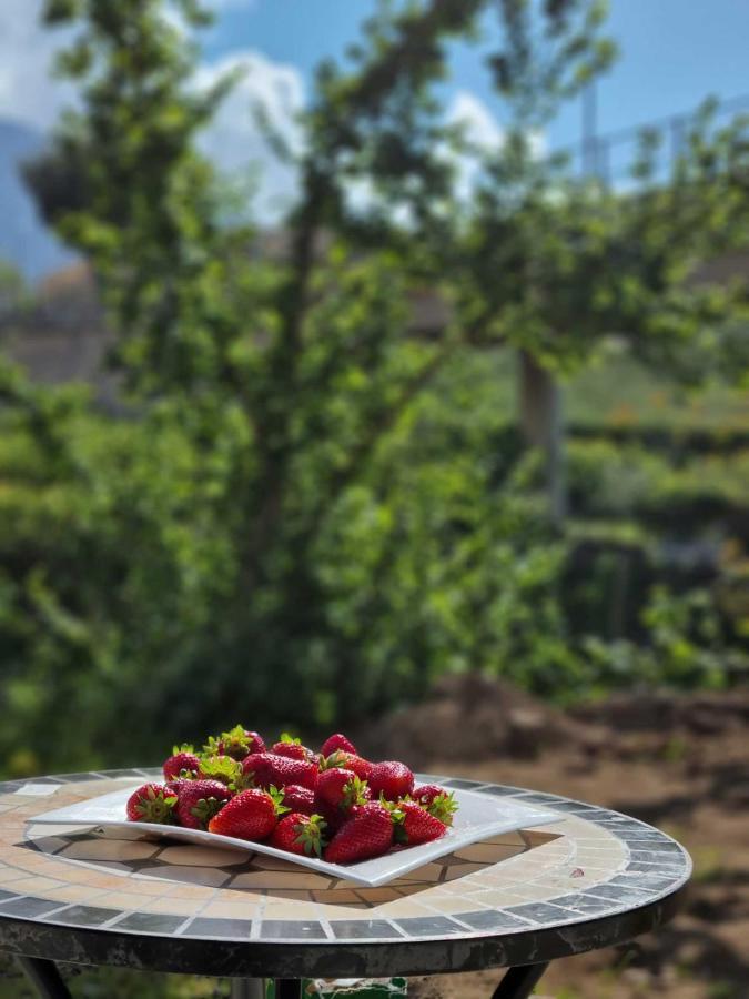 B&B Carmelina Gragnano Εξωτερικό φωτογραφία